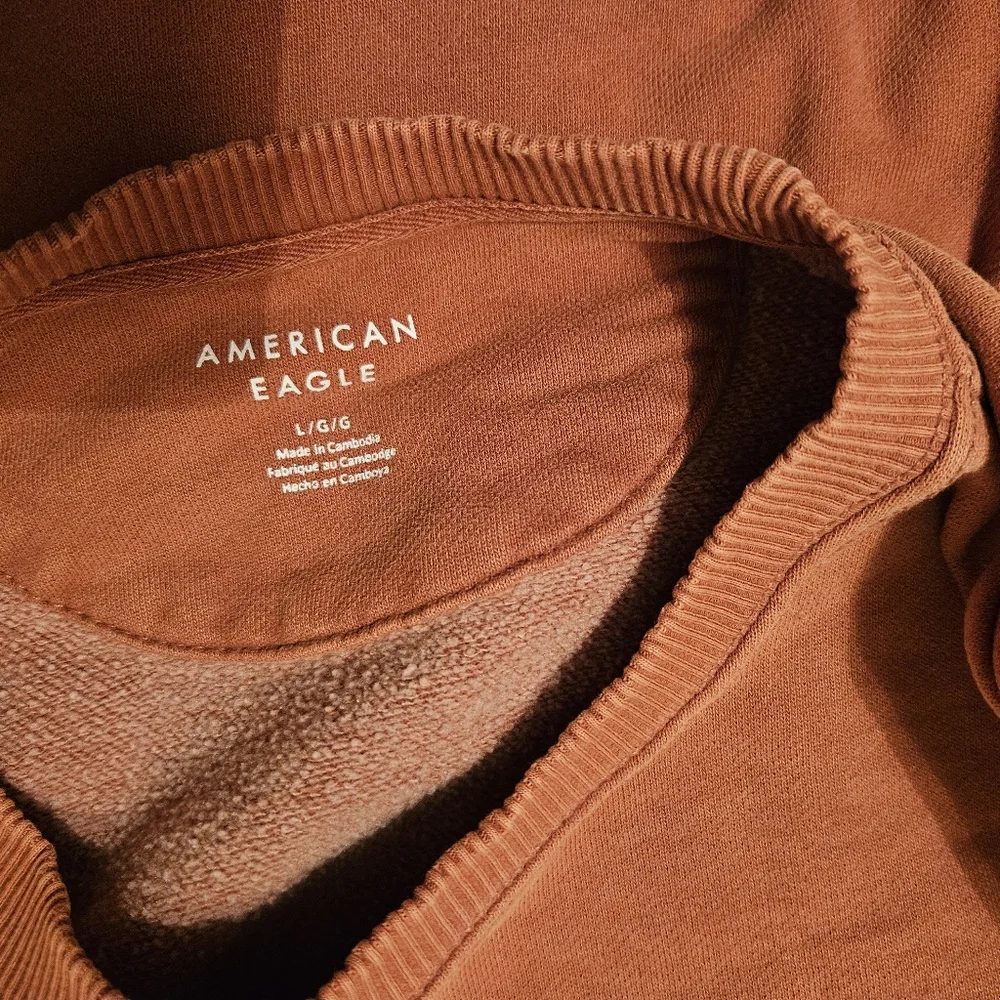 American Eagle Outfitters Burnt Orange Crew Neck Sweater - Picture 3 of 3